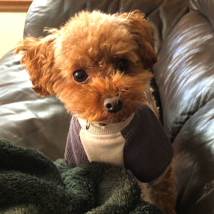 E84e864f e39c 429d bce6 bd6452ed95a2 1545611940557