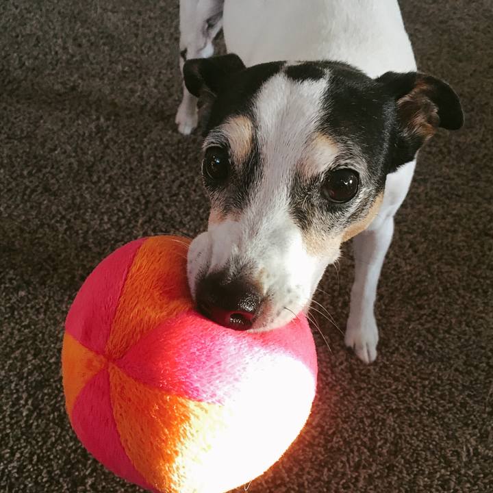 E84e8e01 5109 443d 863b bdd5c0ee726f 1548899096388