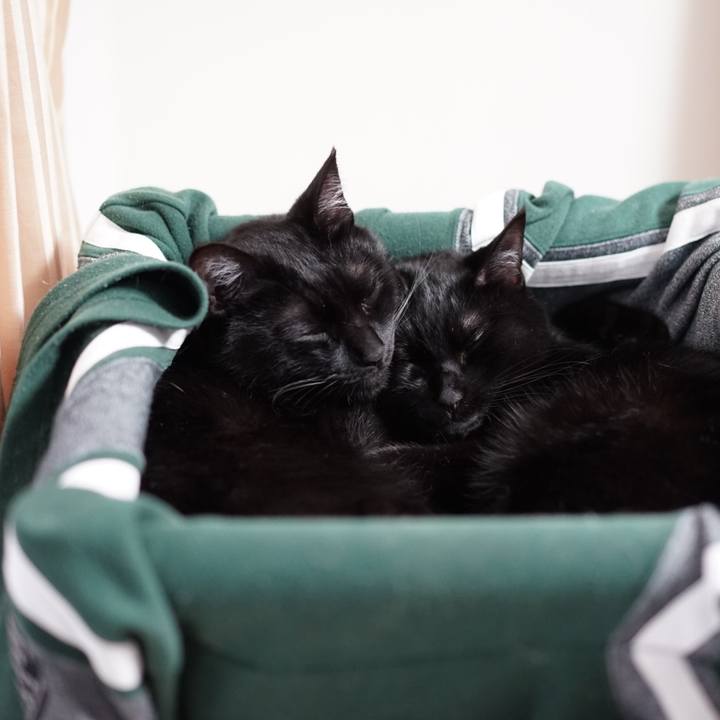 E84ed26d 3888 45f2 8611 2fe11fa2a1b2 1557703403410