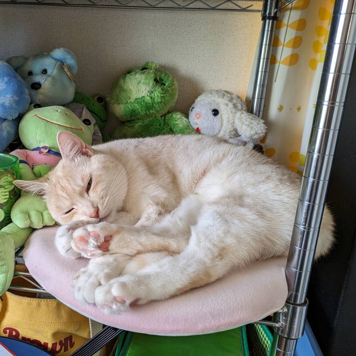 E84ee0a4 fc6f 440b b570 703bb83ad5dc 1687308502149