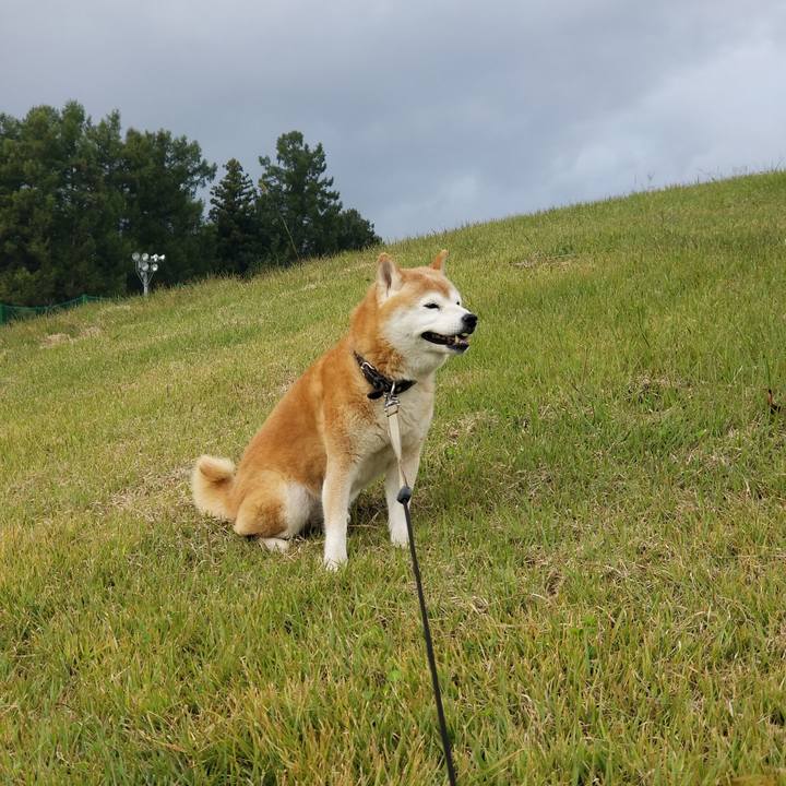 E84f05e9 10da 4e5a 96e0 422f47dd1e14 1696574587568