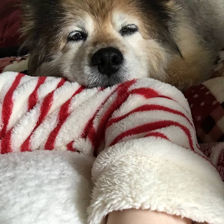 E84f1e5e d744 40c9 a7c3 8375cec70ea1 1564074880606