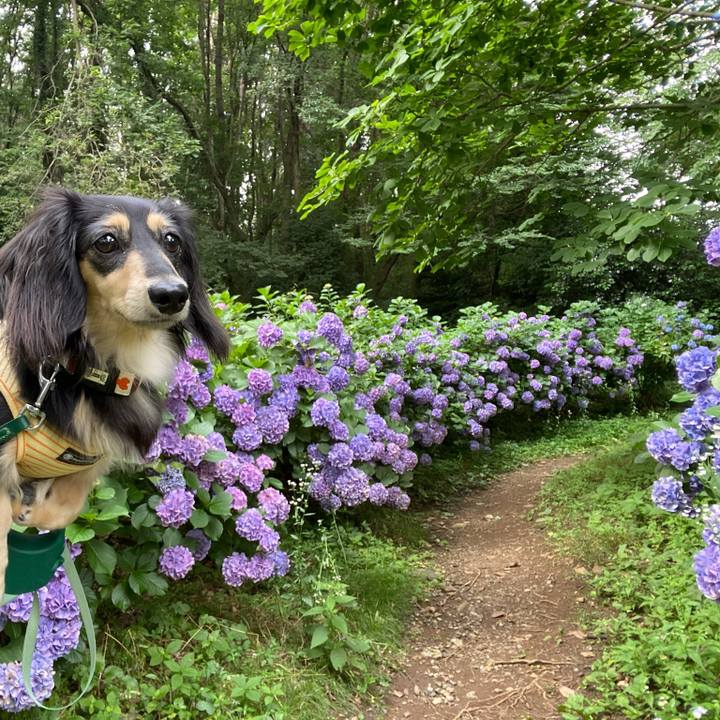 E84f722e ee33 497d 9157 c6e5f525f048 1719447464566