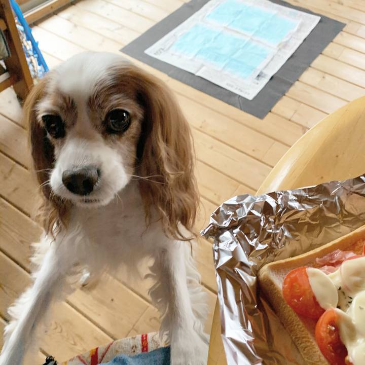 E84f8b57 9f74 46c7 a76c 74bbfb3afcaf 1574292299029