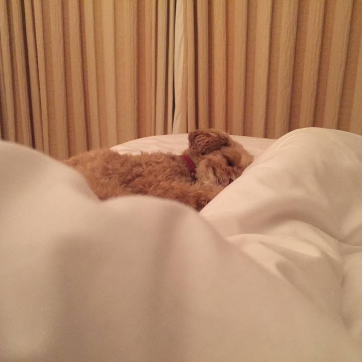 E84faf42 edb2 4447 bd93 697826896159 1535297075221