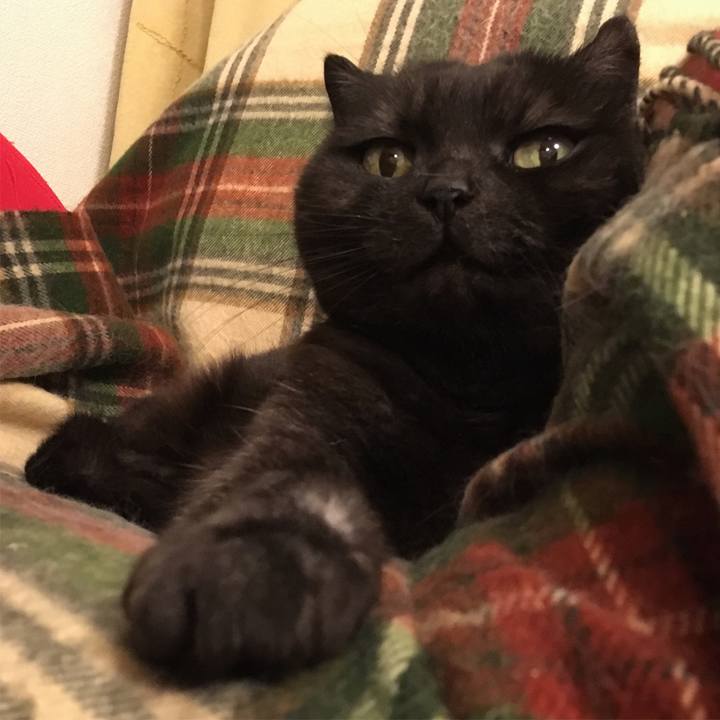 E84fb54a 1f06 456d b8e9 ca2fba967381 1524932806850