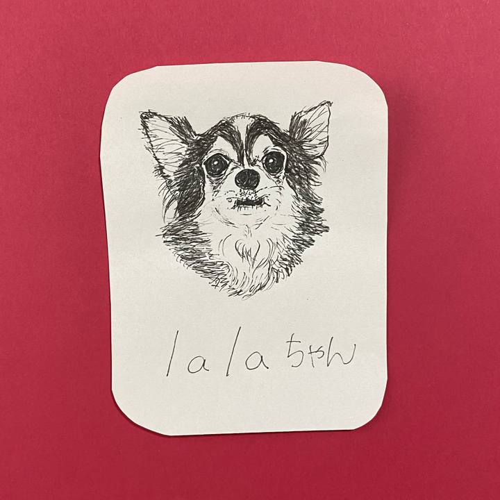 E85011f4 347e 44e7 a509 e4cc6a2f9cfe 1619574486777