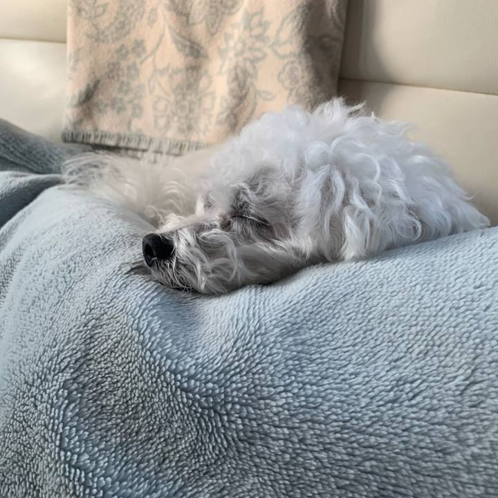 E8501c73 b4a5 4ef7 b086 5e95198a1e10 1675004565905