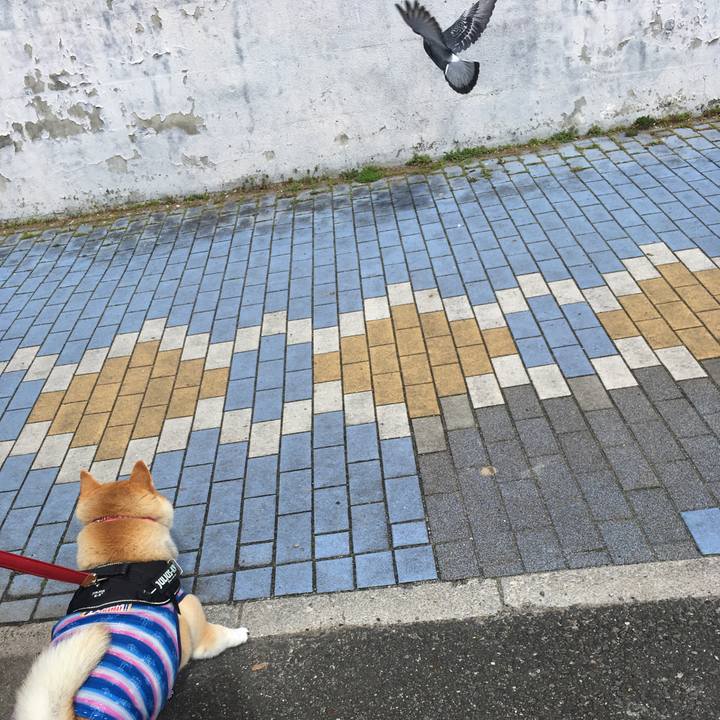 E8503edd 1c56 4919 8f0f 09abba10078b 1583719512460