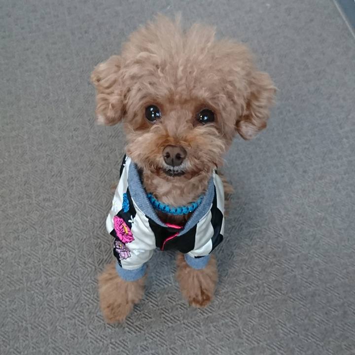 E85056ff 140d 4558 ba4a 1fe41abcefeb 1508974631040