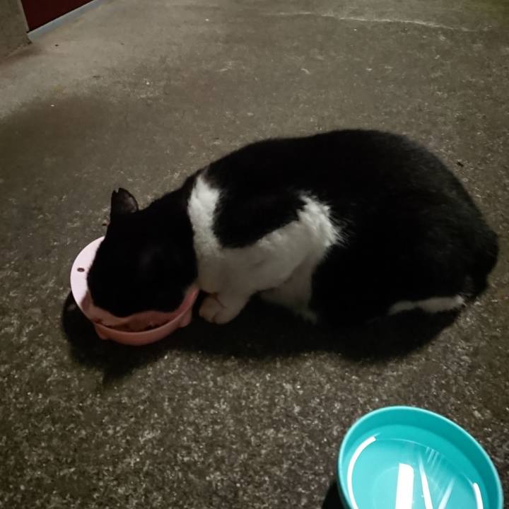 E8509347 3fbd 4bff 8e94 1ea2944ef3d6 1659529306264