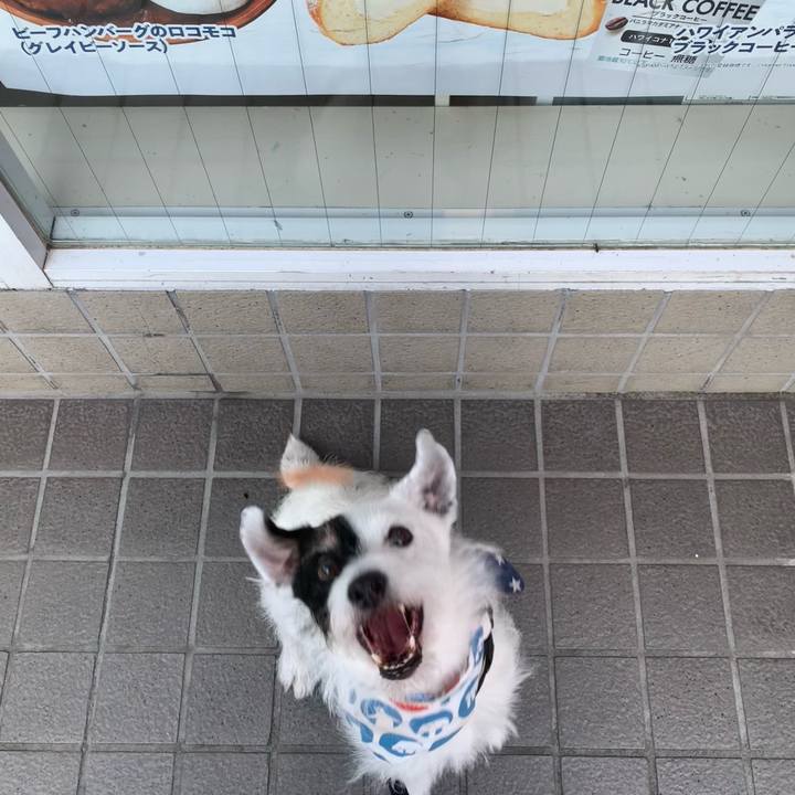 E85094e1 deb1 4f32 8f33 05bb47c260d5 1721553594795