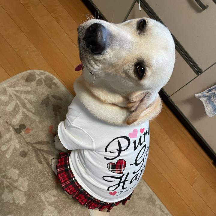 E850a180 99c2 4932 8ed2 cdd4d266c4e5 1635924933521