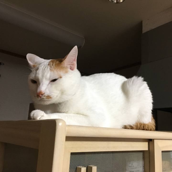 E850af71 a5fc 4875 aa3c 9903bc2ddce9 1530893418211