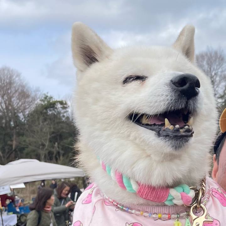 E850ded8 22f1 45e4 9f21 c973df107b40 1743419681103