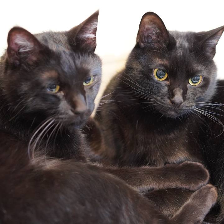 E850ec51 8bdb 4d80 a63c a99c4ca7e1ba 1618922514805