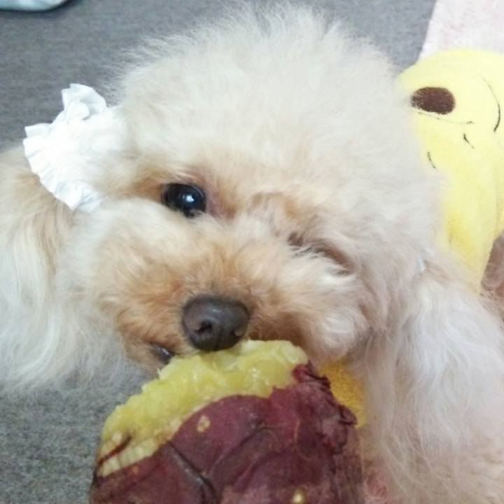 E8510ac4 ce23 43cb 8e2b 216b4d35f3de 1543652701830