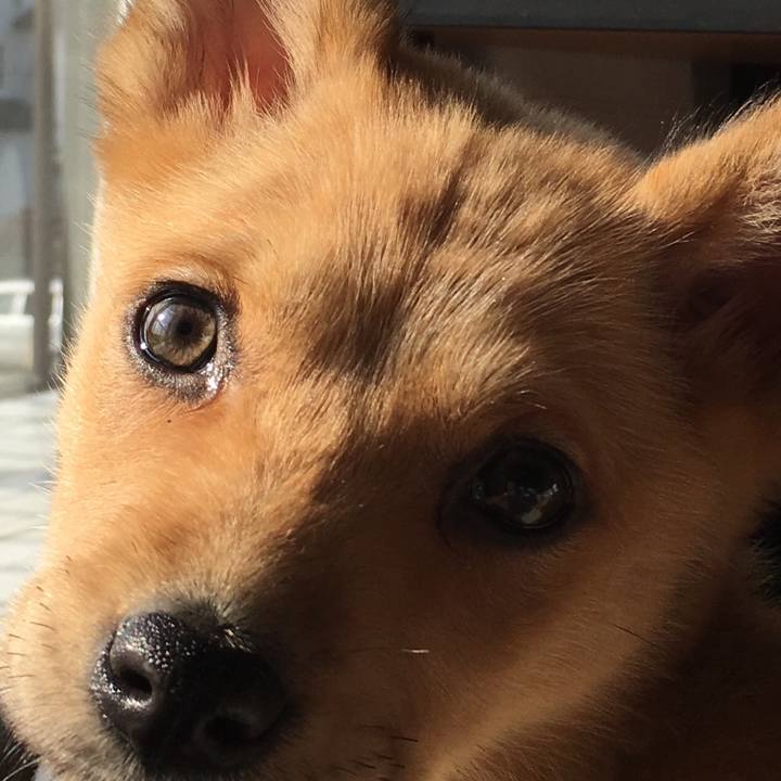 E85113e7 2860 45fd 9001 8a1affb1b2a2 1542809812535