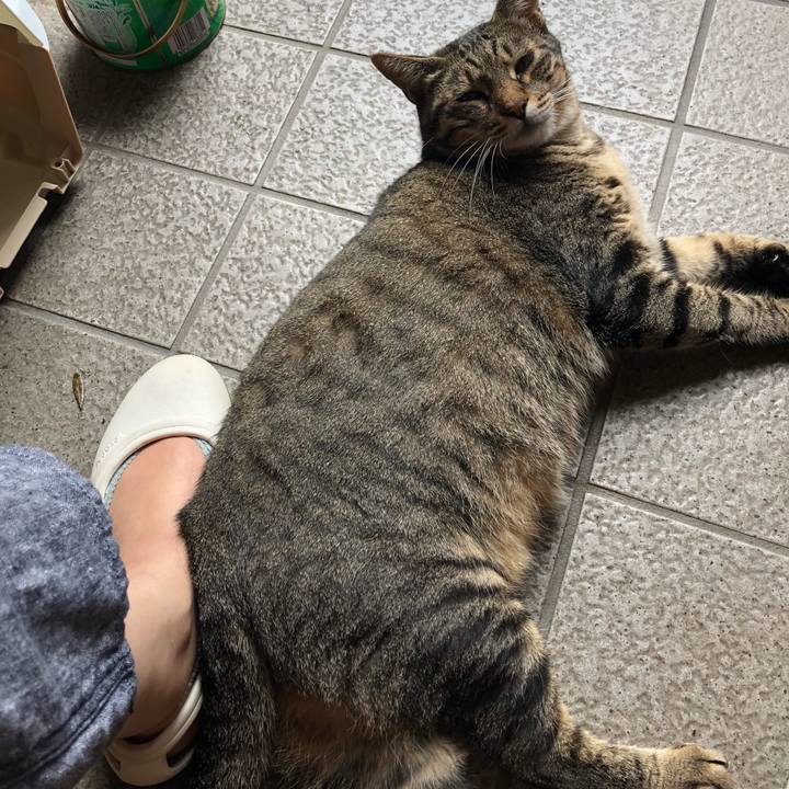 E85119d4 8412 4f60 9d1b b4dc655eadd8 1534996849203