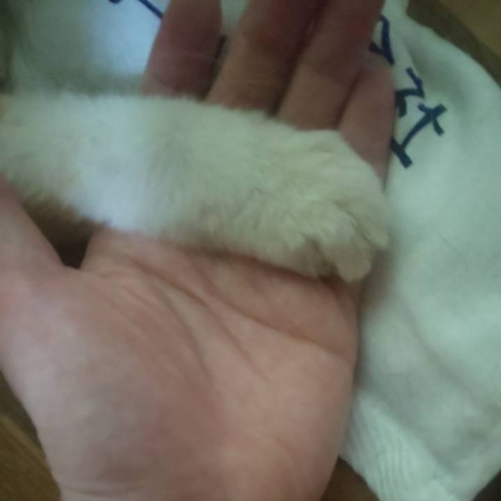 E851780f d5b2 4251 afee 7f38591c29c4 1726041706974