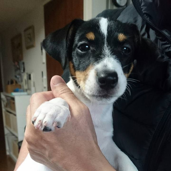 E851b6b8 06ea 41e4 88fe b85129fe5a09 1510706341822