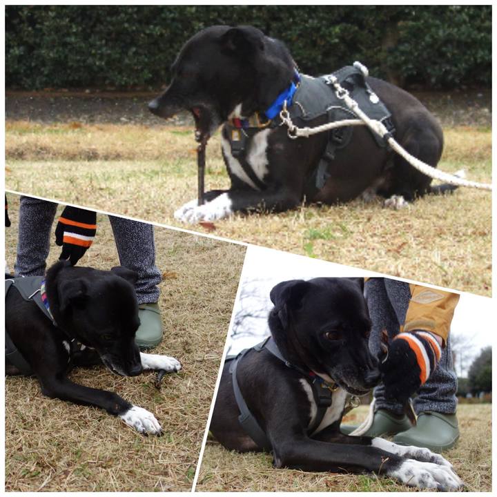 E851c102 0e8d 4f2a ae94 acfcb2d162e0 1639010525067