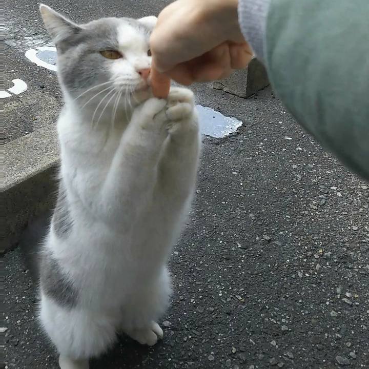 E852124c a3c3 4700 b229 7365e04fb980 1514107067820