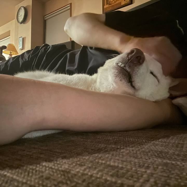 E8522f34 4e51 4e33 a044 7e029dd091a0 1658144043431