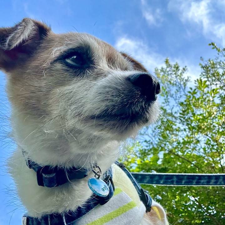 E8524859 fccb 4535 98a9 dfaa0482e9fe 1688294722641