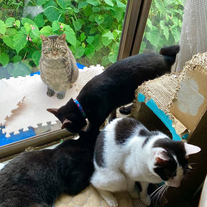 E8529833 ec51 48fa 8d13 571df97c1e9f 1659162027687