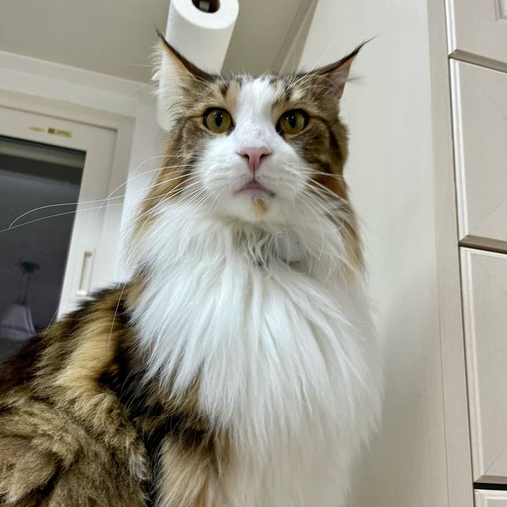 E852cec5 cc89 47a1 96fc e0bf7c63a2f3 1671309106871