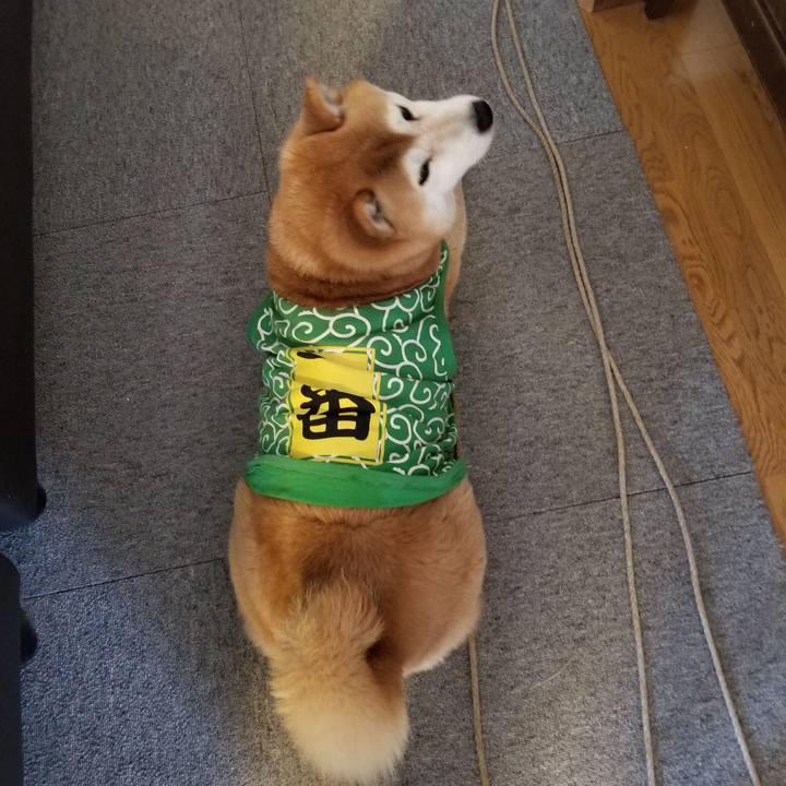 E852f06b b6ef 4c93 8321 0ed5a2949152 1586908826928