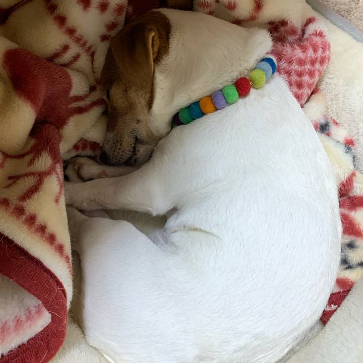 E853bf33 5462 404d b116 40bfb40a7b7c 1577881683662