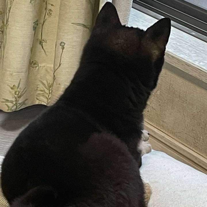 E853c271 1d37 4415 9b0a 16c27427cfb0 1679215088884