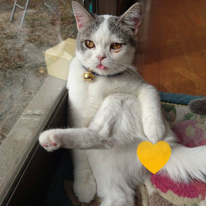 E853f1d2 791b 4fda bc8e d30e9beb3394 1540255698784