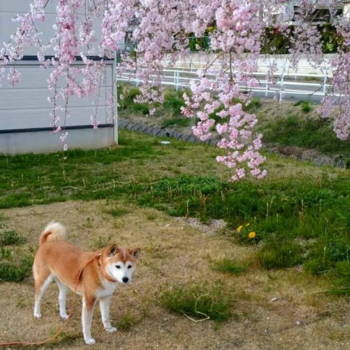 E854065a 2581 4f5d 995c d259a945d5d0 1602298331271