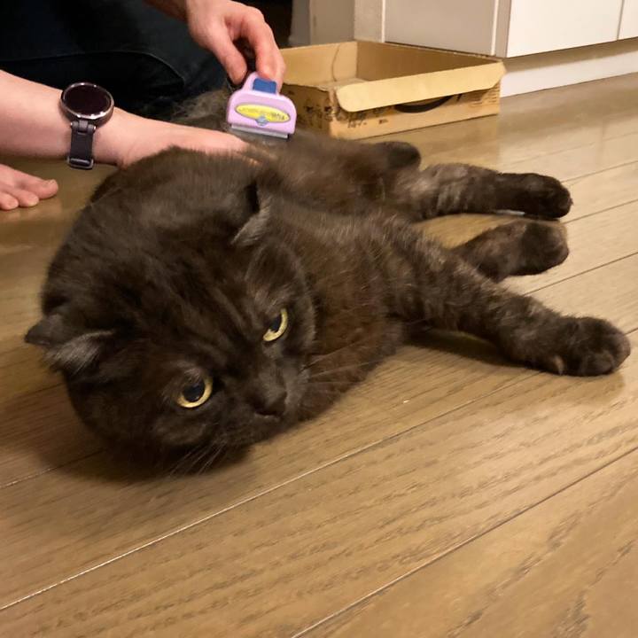 E8542fff aab3 4d45 8dd4 be73c40eff0e 1622125737376