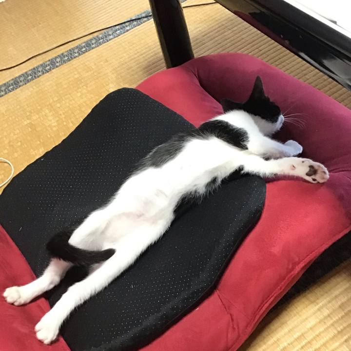 E85446c9 4f54 45da 85fe ff9908fc4596 1626330068834