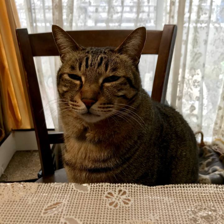 E854494d 4175 4d57 b04b 845462337618 1521077116392