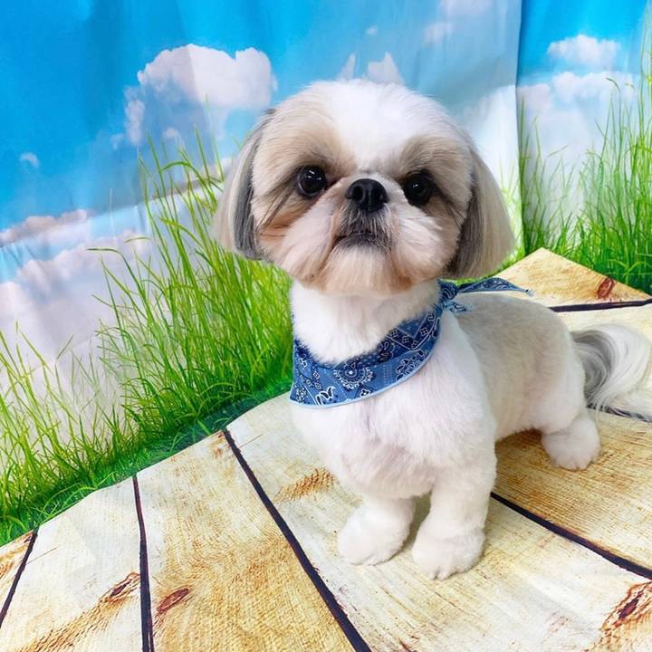 E8548386 ab79 49fa af63 610a4b275f8a 1587189482045