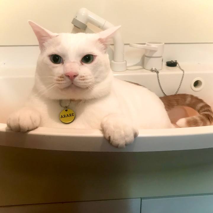 E8548cea aac0 41bb 8485 b57903187a9f 1578580022360