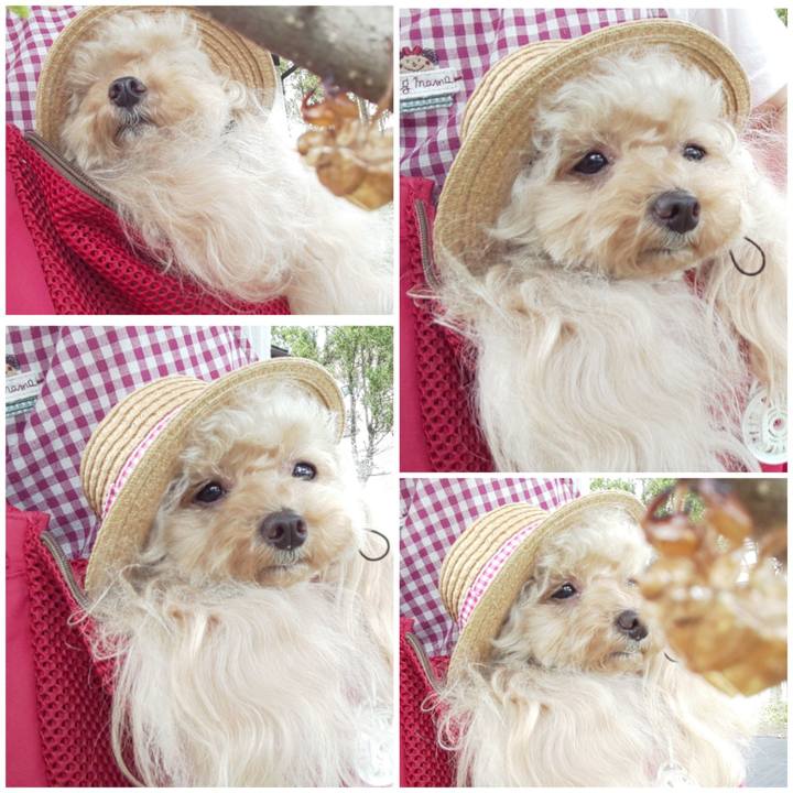 E8549370 34e5 4b6d bb31 5d5917bcc05b 1598334215516