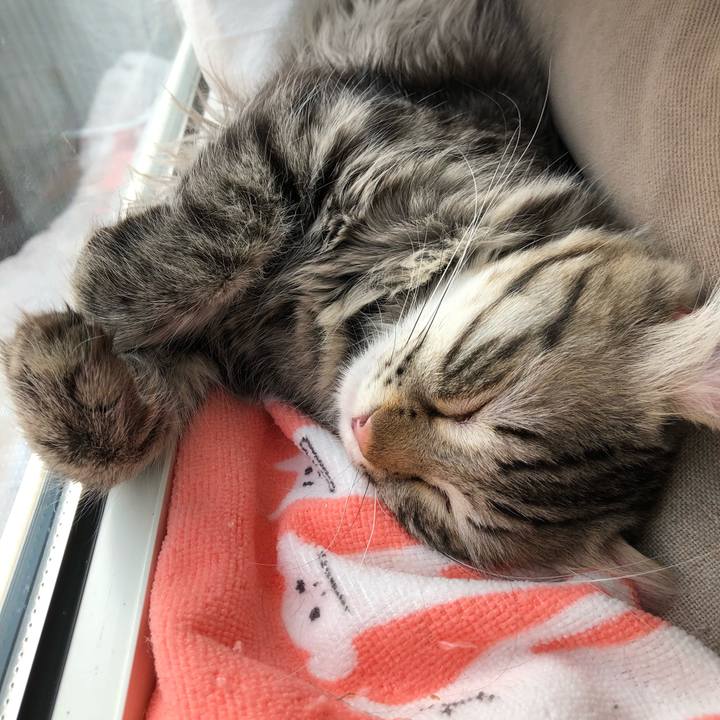 E854a867 1f9e 42b9 a7a1 067995645e35 1522483497241