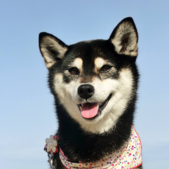 E854afbc 7f24 4962 95cc 8058bddf7ae0 1521853857013