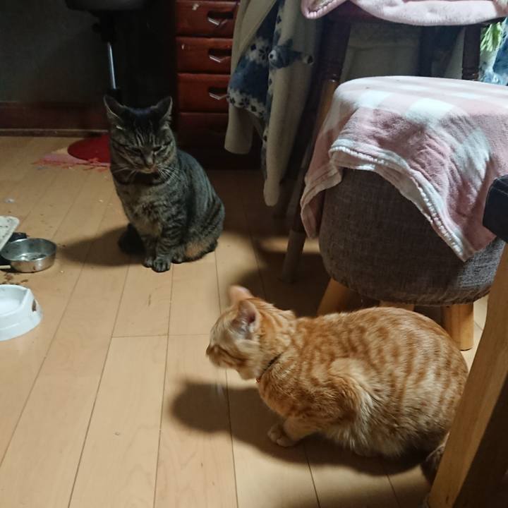 E854d588 7982 4747 bf73 cce01ed4ceba 1643749778278