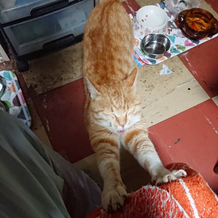 E8550700 f0be 450c 855b 8d09430cc5d9 1589401443705