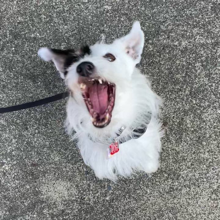 E8551485 6c71 4a6c bb0a 7269fda29fdb 1693262298215