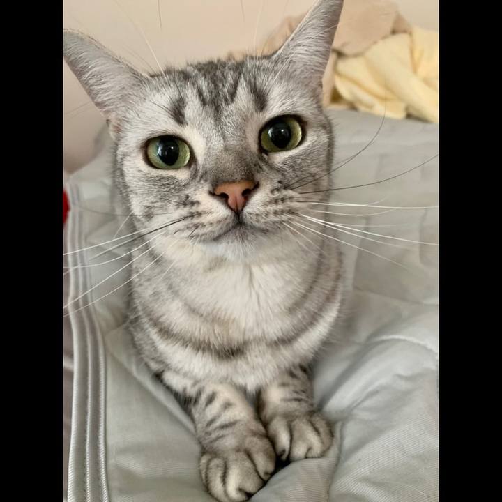 E855174d 3353 4056 8b92 5357bcb8fb25 1623985322911