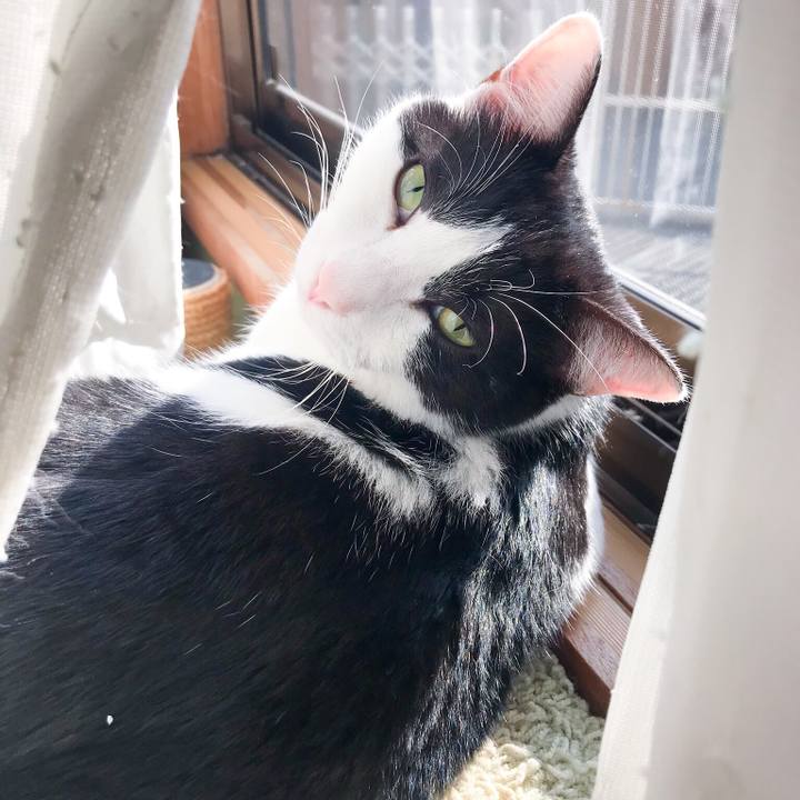 E8555a9e d0ff 4b36 8084 64e6ea93da3e 1519566908458