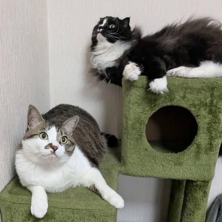 E855665d acb2 489b 85ff 30dc08d03794 1740646568288